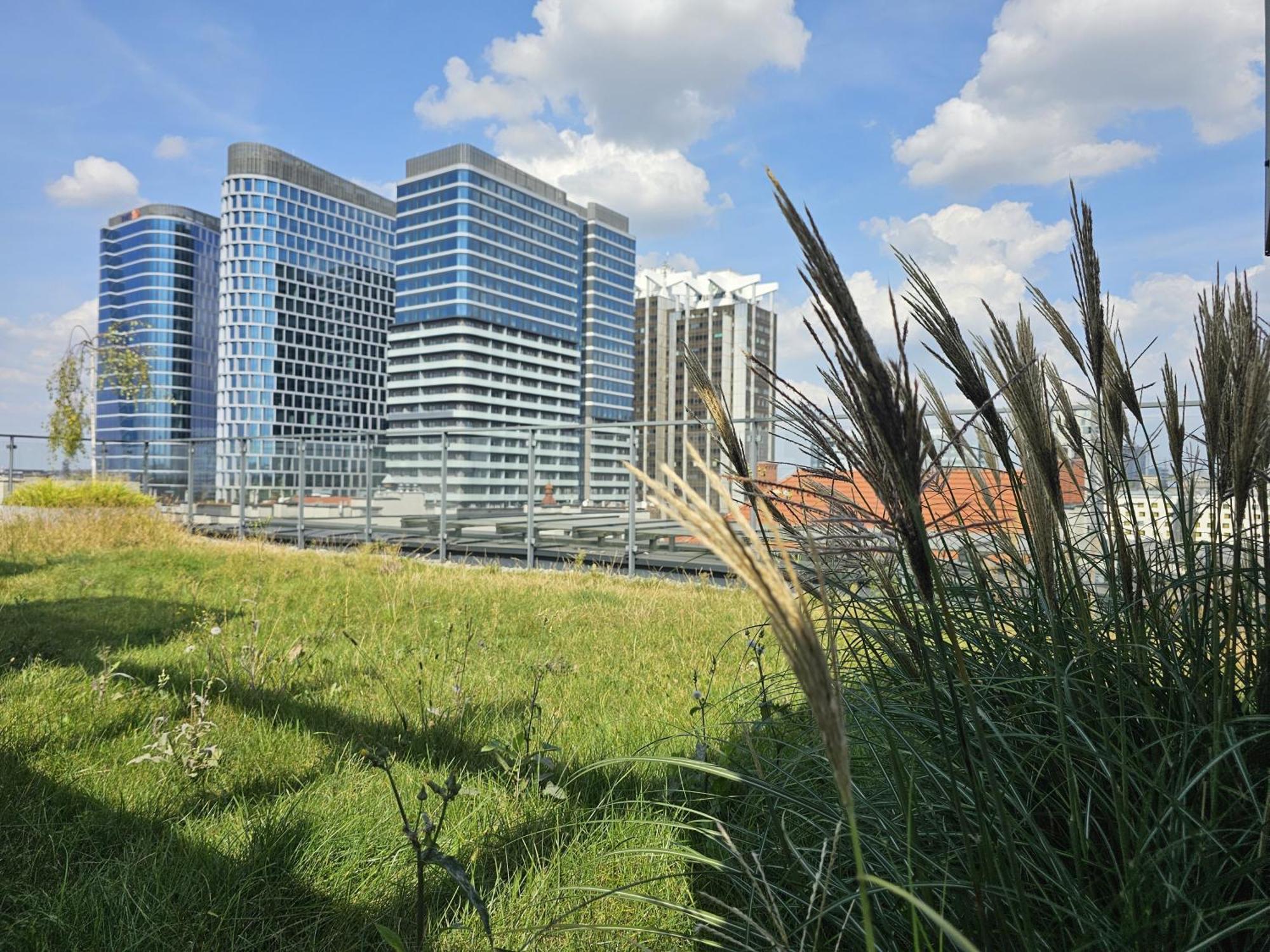 Urban Apartments Premium, Opolska 10 No 90, 2 Free Garages, Self Check-In Katowice Extérieur photo